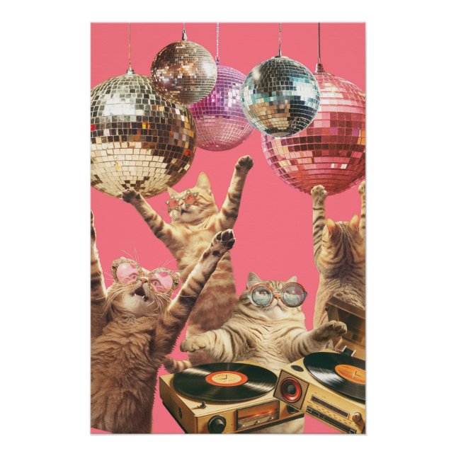 Póster Disco Cat (Frente)