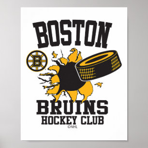 Poster Disco de Hockey Boston Bruins Estourado Cinza Lice