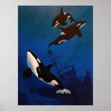 "Discovery" Orca e destroços
