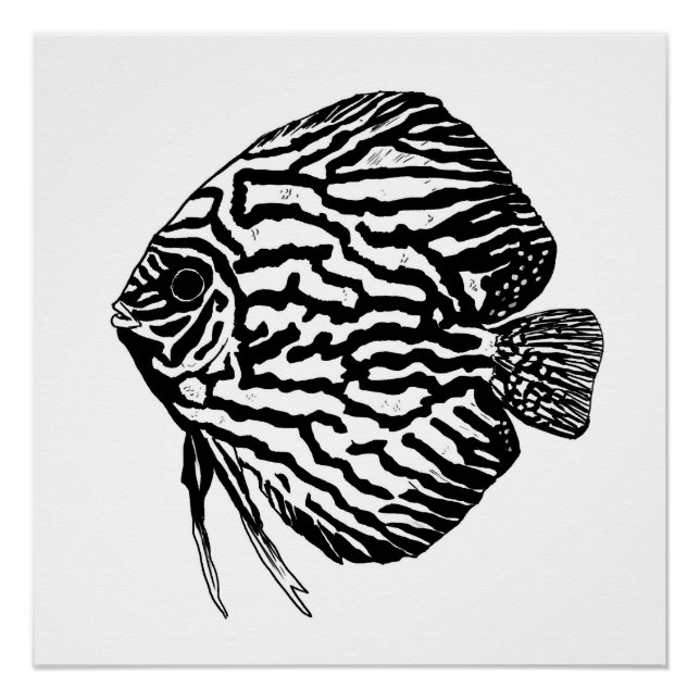Póster Discus fish print / poster (Frente)