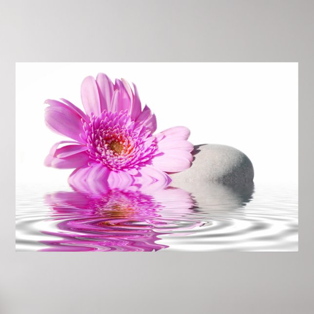 Póster Disie rosa (Frente)