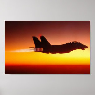 PÓSTER DISPOSITIVO DE PÓS-COMBUSTÃO NO POR DO SOL