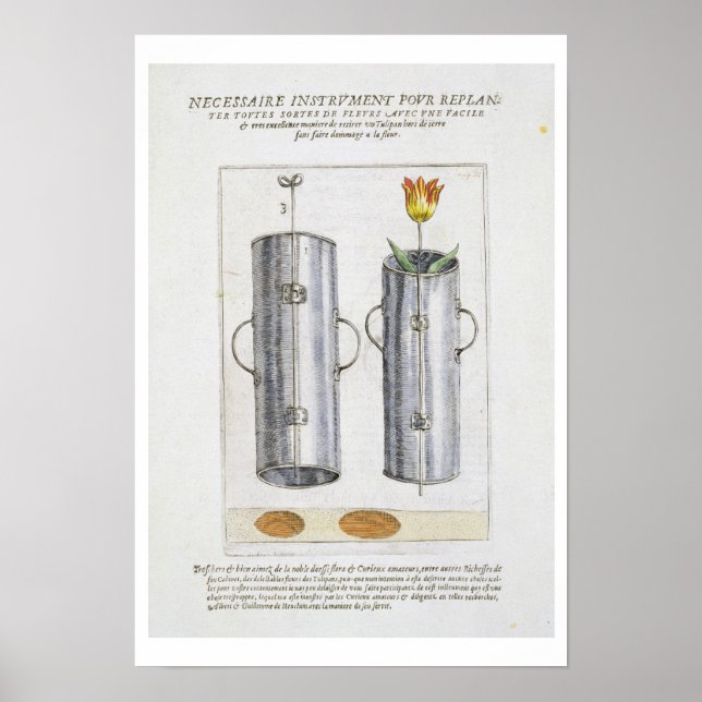 Poster Dispositivo para replantar flores, de Hortus Flori (Frente)