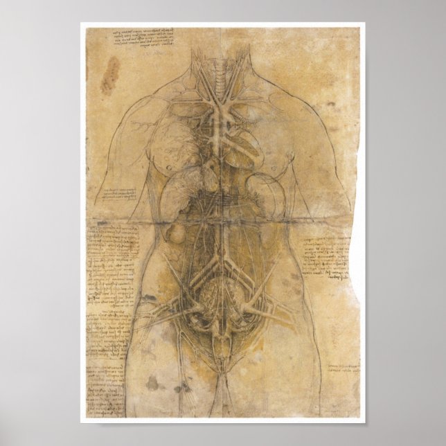 Póster Dissecação dos órgãos de uma mulher, Da Vinci (Frente)