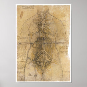 Póster Dissection of the organs of a woman, Da Vinci