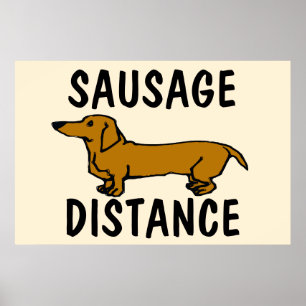 Poster Distância de salsicha, DachshundPoster