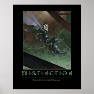 Póster Distinção