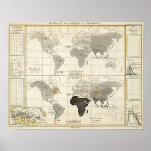 Póster Distribution of rodents and animals