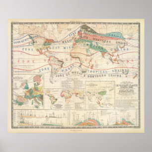 Póster Distribution plants