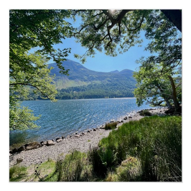 Póster Distrito de Lake (Frente)