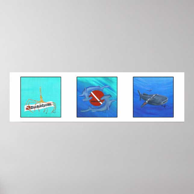 poster DiveBuddy.com (Frente)