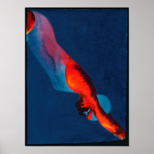 Póster Diver 2011