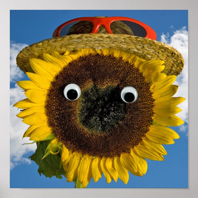 Poster Diversão de Verão de Sunflower (Frente)