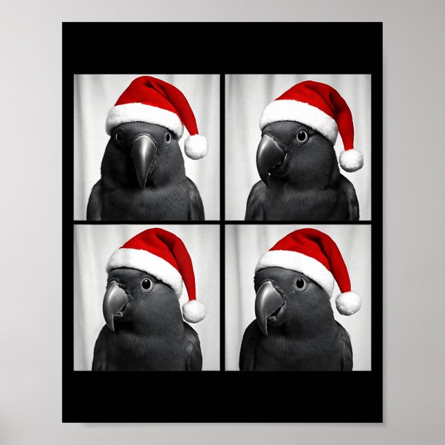 Poster Diversão Natalícia Eclectus Papagaio Papai Noel Fo (Frente)