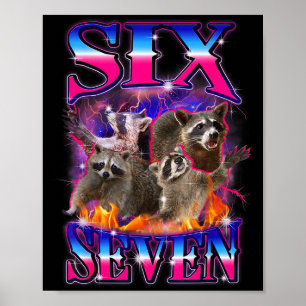 Poster Diversão Seis Sete 67 Meme 67 Guaxinim Meme Bootle
