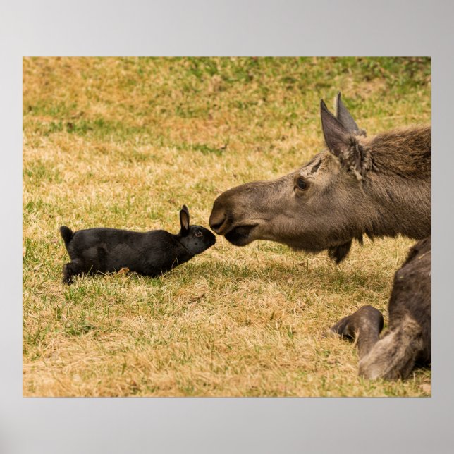 Póster Diversidade (Frente)