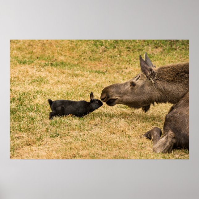 Poster Diversidade (Frente)