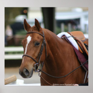 Poster diversificado 2 de Artie