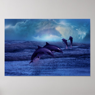 Poster Divertimento e jogo dos golfinhos