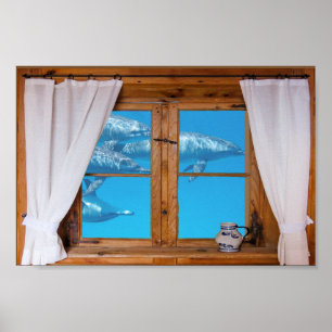 Póster Divertimento subaquático do oceano dos golfinhos