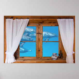Póster Divertimento subaquático do oceano dos golfinhos