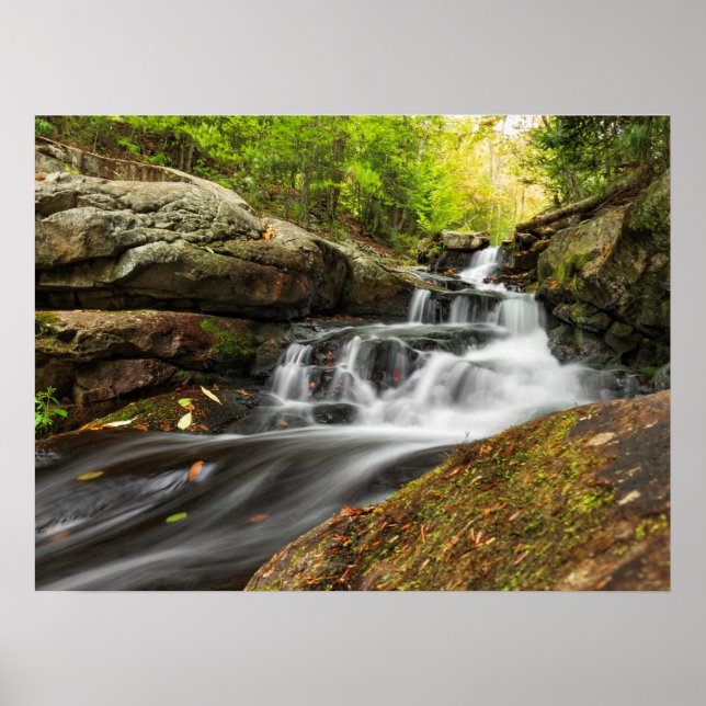 Poster Dividir Cai na Execução do Primavera de Areia (Frente)