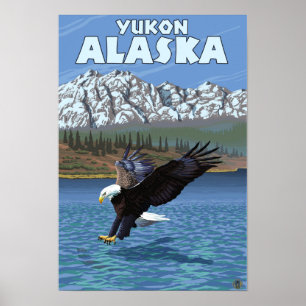 Póster Diving Bald Eagle - Yukon, Alaska