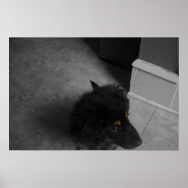 Poster Divino B&W (Frente)