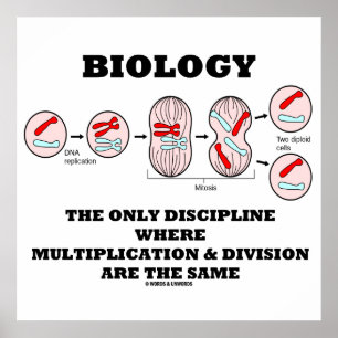 Póster Divisão da multiplicação da disciplina da biolo