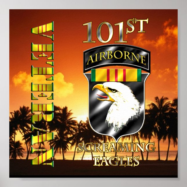 Póster Divisão de Aeronaves de 1010 Vietnã (Frente)