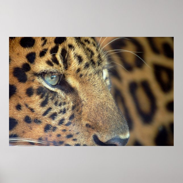 Póster Dizendo adeus... (Frente)