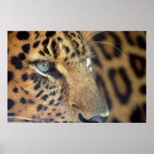 Póster Dizer adeus…