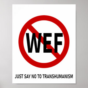 POSTER DIZER NÃO AO TRANSHUMANISMO