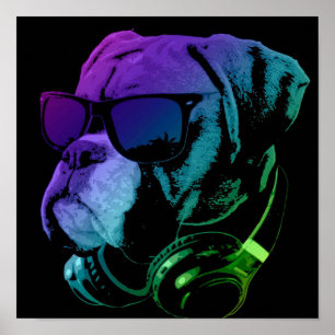 Poster DJ Boxer Dog Wall Art Presente especial