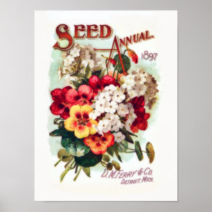 Póster DM Ferry Flower Seeds Vintage Advertisement