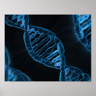 PÓSTER DNA
