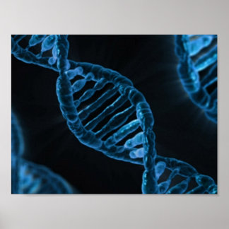 PÓSTER DNA