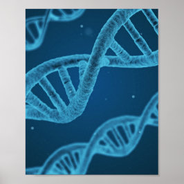 Poster DNA Double Helix