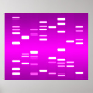 Poster DNA Genético Magenta Rosa