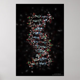 Poster DNA Selvagem