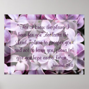 Poster do 29:11 de Jeremiah dos Lilacs