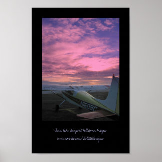 Poster do Aeroporto Twin Oaks