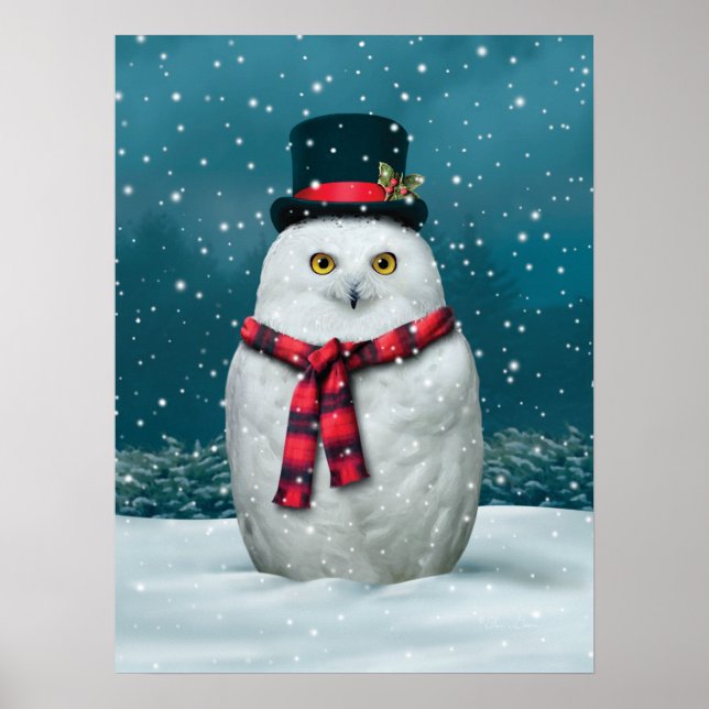 Poster do Alan Giana "Snowy Day" (Frente)