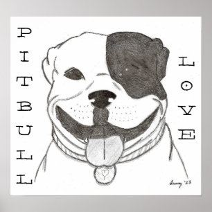 Poster do amor de Pitbull