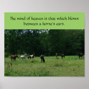 Poster do apoio do salvamento do cavalo de raça