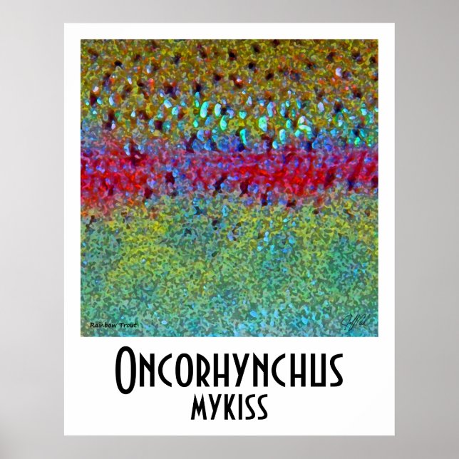 Poster do Arco-Íris (Frente)