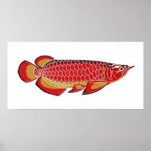poster do arowana