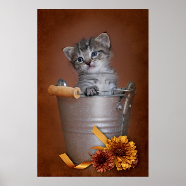 Poster do Autumn Kitten (Frente)