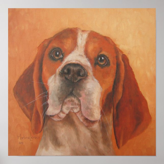 Poster do Beagle (Frente)