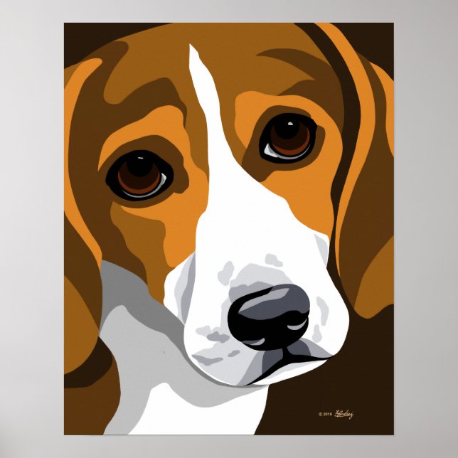 Poster do Beagle (Frente)